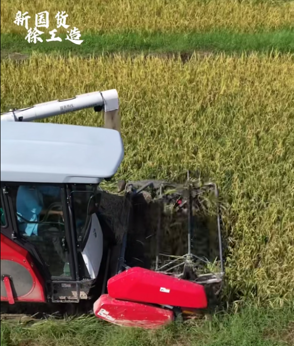 【稻花香里說豐年，聽取蛙聲一片】