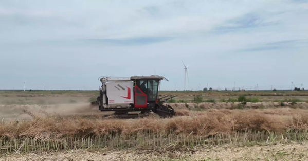 XR720 履帶式谷物聯合收割機助力鹽城農場收割