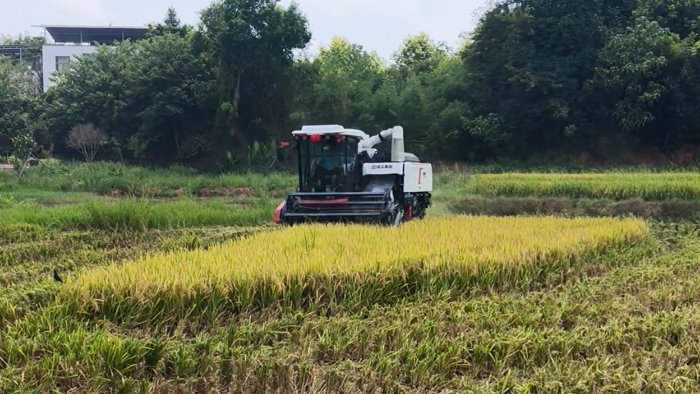 XR720跨區水稻機，高效作業促豐收